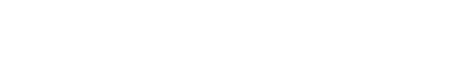 Flynn-logo-b